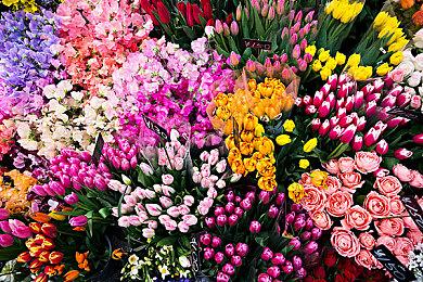 催泪名作RPG 《梅格与怪物》外传免费发布 