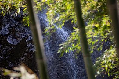 PS5国行光驱版今晚8点10分再次开抢 